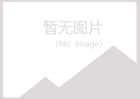 临沂兰山从容会计有限公司